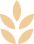 naturale-icon