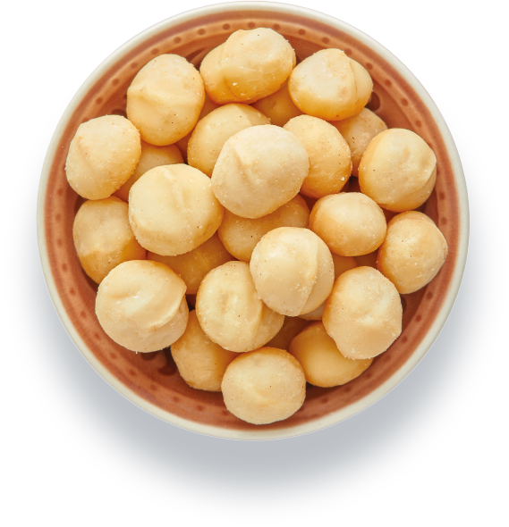 Una ciotola di ceramica con bordo marrone chiaro e smaltato riempita con noci di macadamia sgusciate e di colore chiaro. La foto è scattata dall'alto, con la ciotola posizionata su uno sfondo grigio chiaro e uniforme.