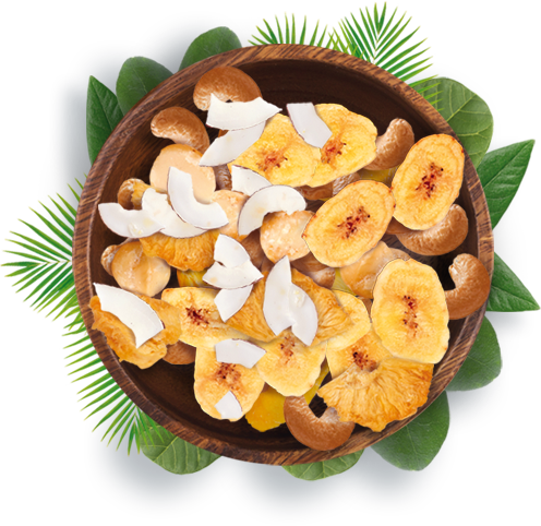 Assortimento completo snack Pro: Banana, Mango, Ananas, Cocco, Anacardi e Macadamia su fondo tropicale
