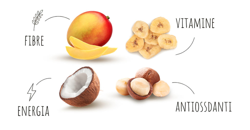 Infografica benefici frutta essiccata e secca: fibre nel mango, vitamine nella banana, energia nel cocco e antiossidanti nelle noci di macadamia